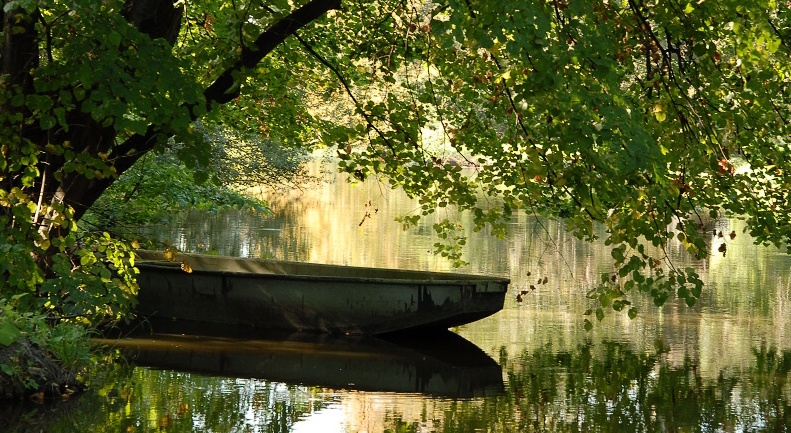 Od nynějška